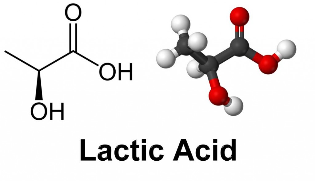Lactic Acid